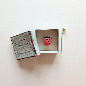 Coccinelle - boite