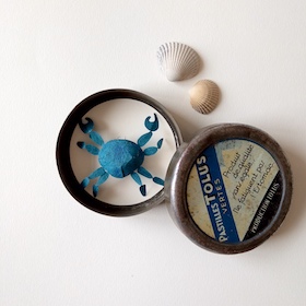 Crabe bleu - boite