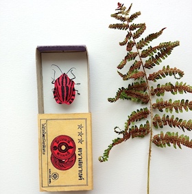 Punaise arlequin - boite